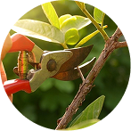 بیشتر بدانید