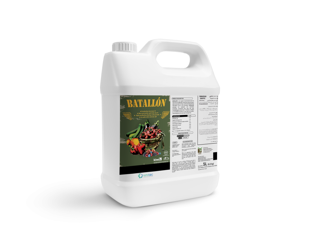 باتالون گالن 5 لیتری