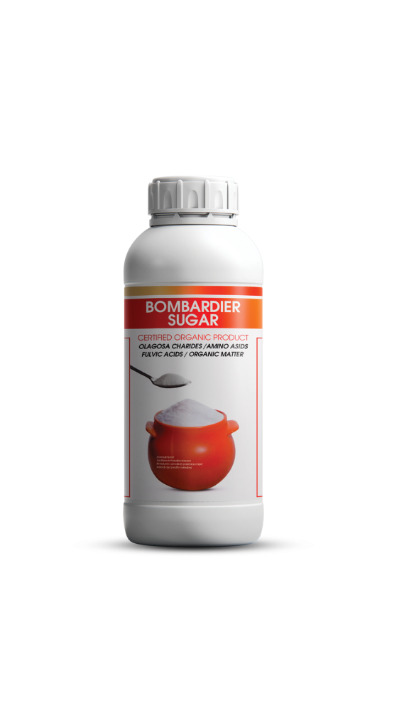 بمباردیر شوگر 1 لیتری