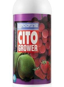 سیتو گروئر 250 سی سی