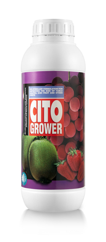 سیتو گروئر 250 سی سی