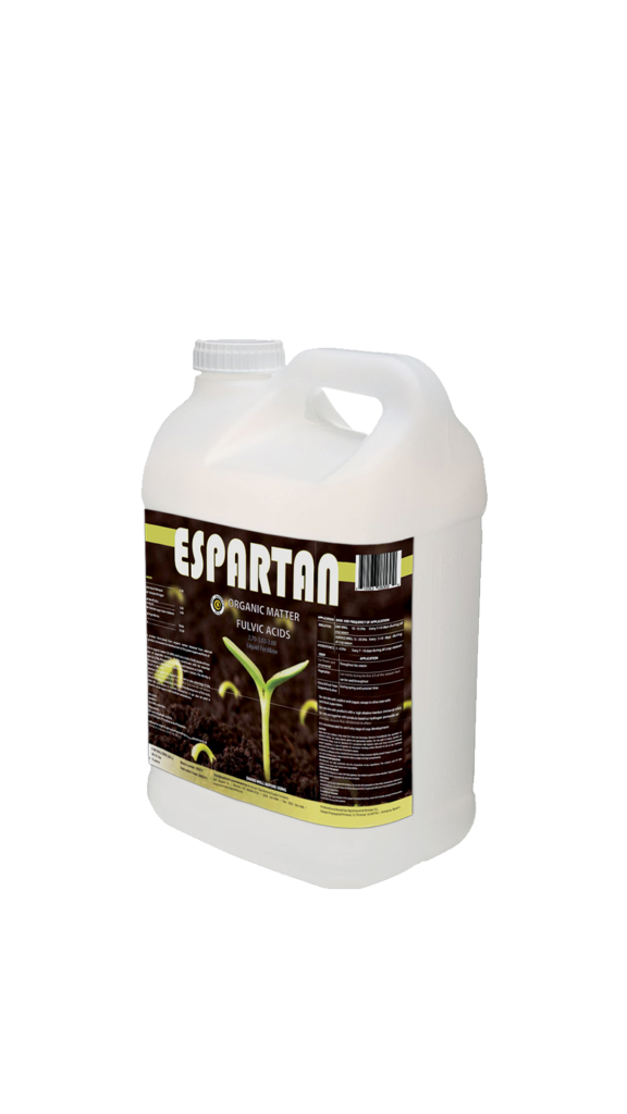 اسپارتان گالن 5 لینری