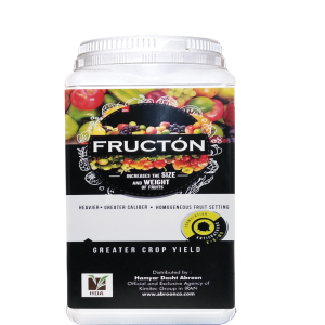 فراکتون 1 کیلویی