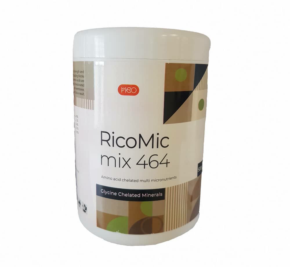 ریکومیکس پودری نیم کیلویی