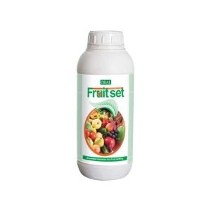 فروت ست 1 لیتری