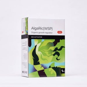 آلگاریک پودری یک کیلویی