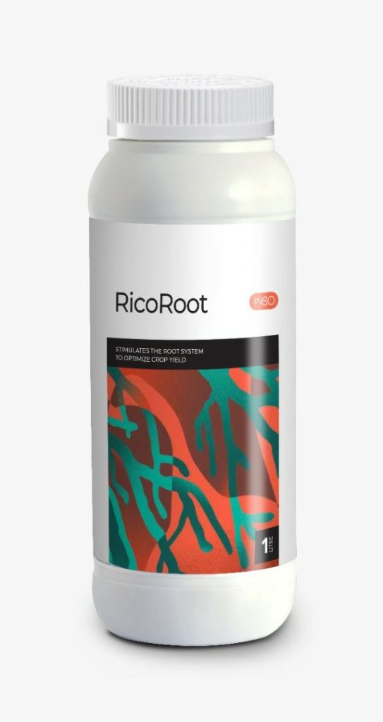 ریکو روت یک لیتری