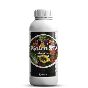 کاتون ایکس تی محرک رشد 1 لیتری