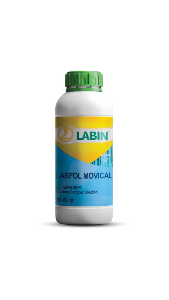 لبیفول موویکال 1 لیتری