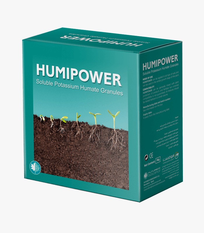 هومی پاور 1 کیلویی