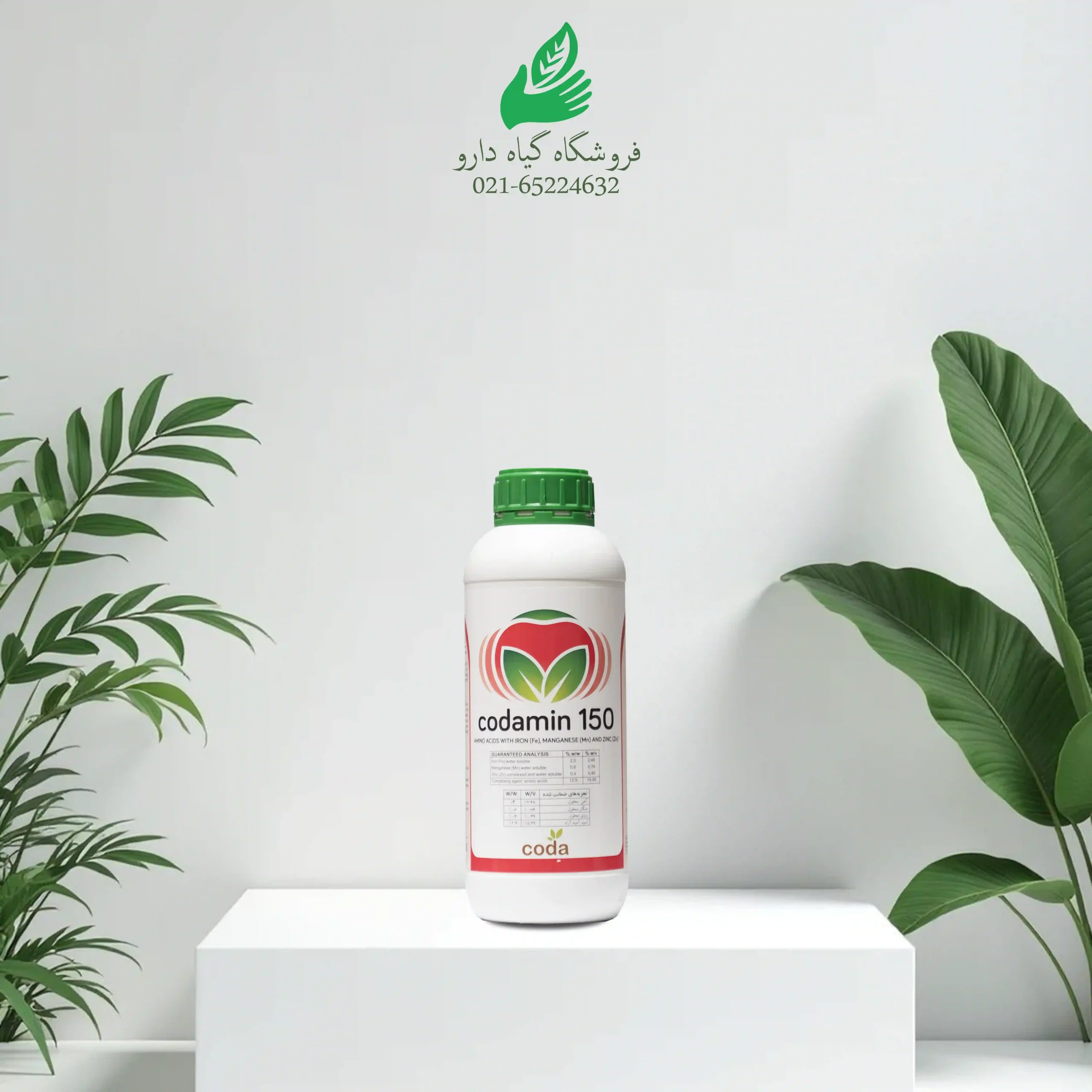 Main Image