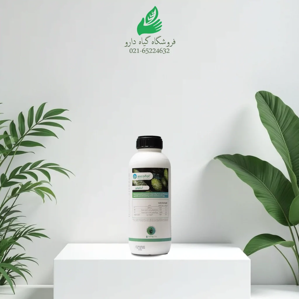 ماکرو آسکوفول یک لیتری