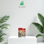 حشره کش خانگی فیپرونیل 2/5% ۱۰۰ سی سی