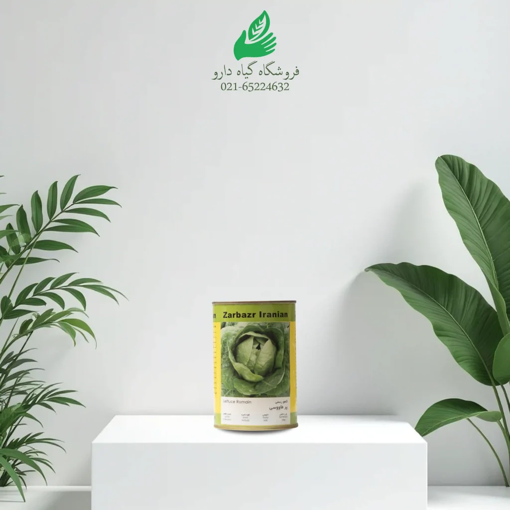 بذر کاهو رسمی ۱۰۰ گرم
