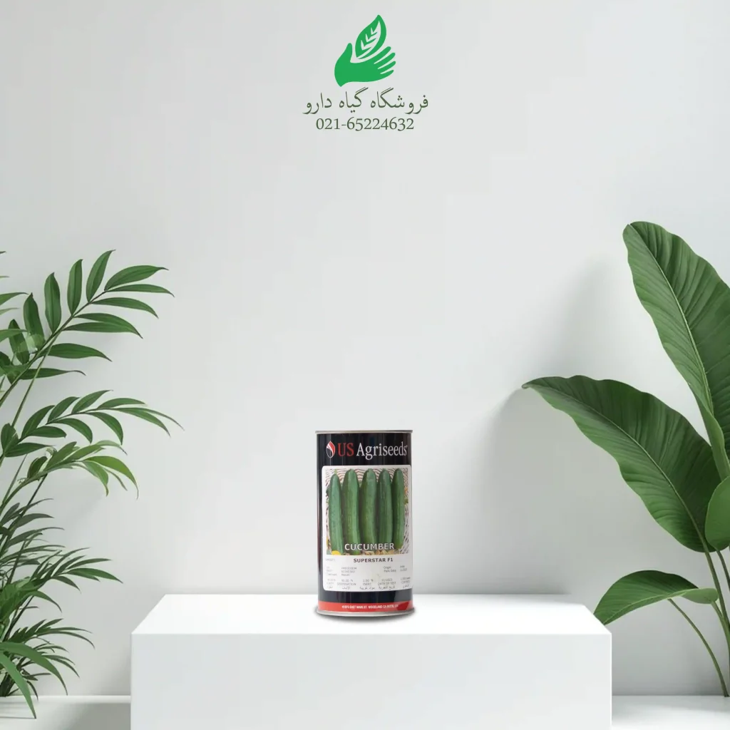 بذر خیار(us) 2500عددی