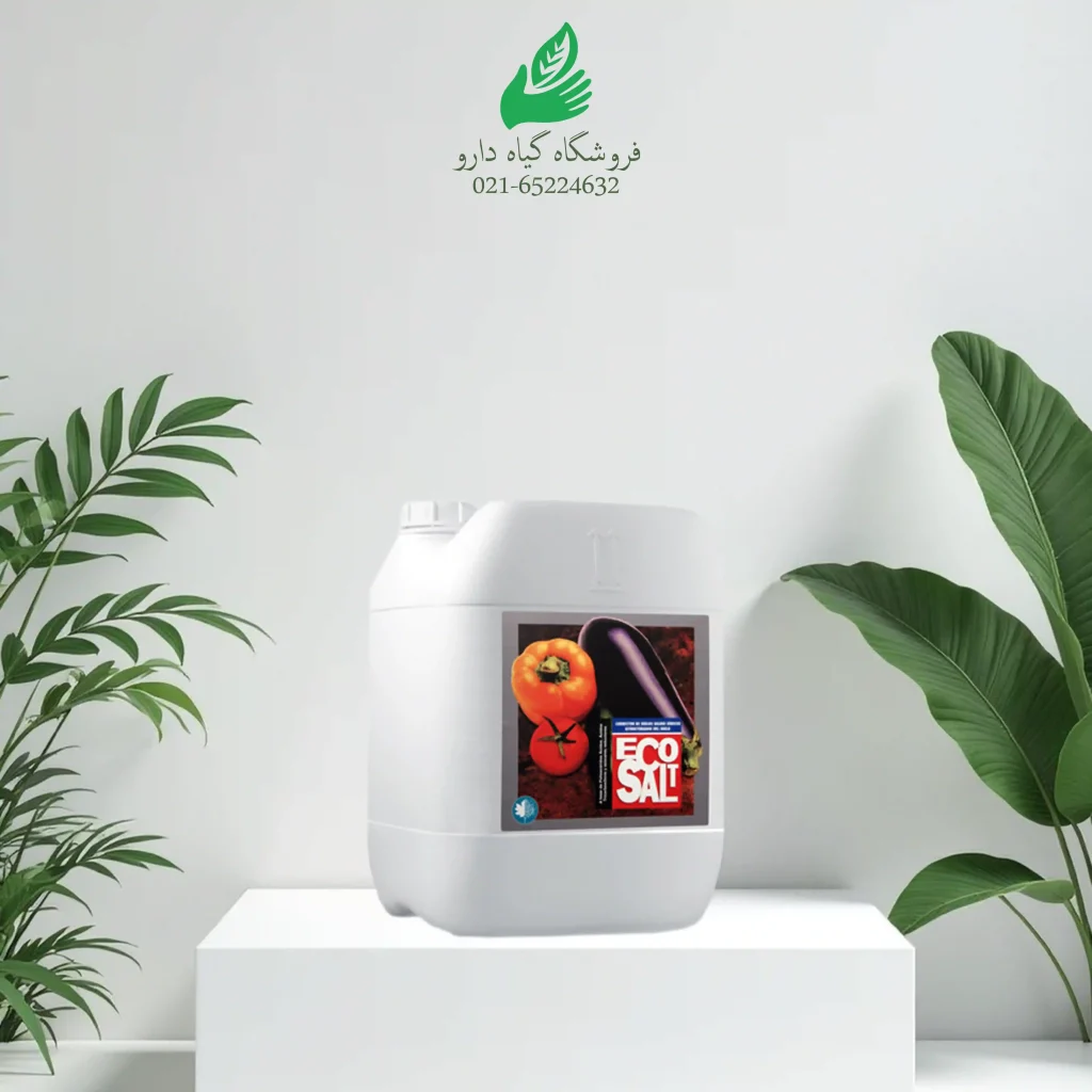 اصلاح کننده اکوسالت پنج لیتری