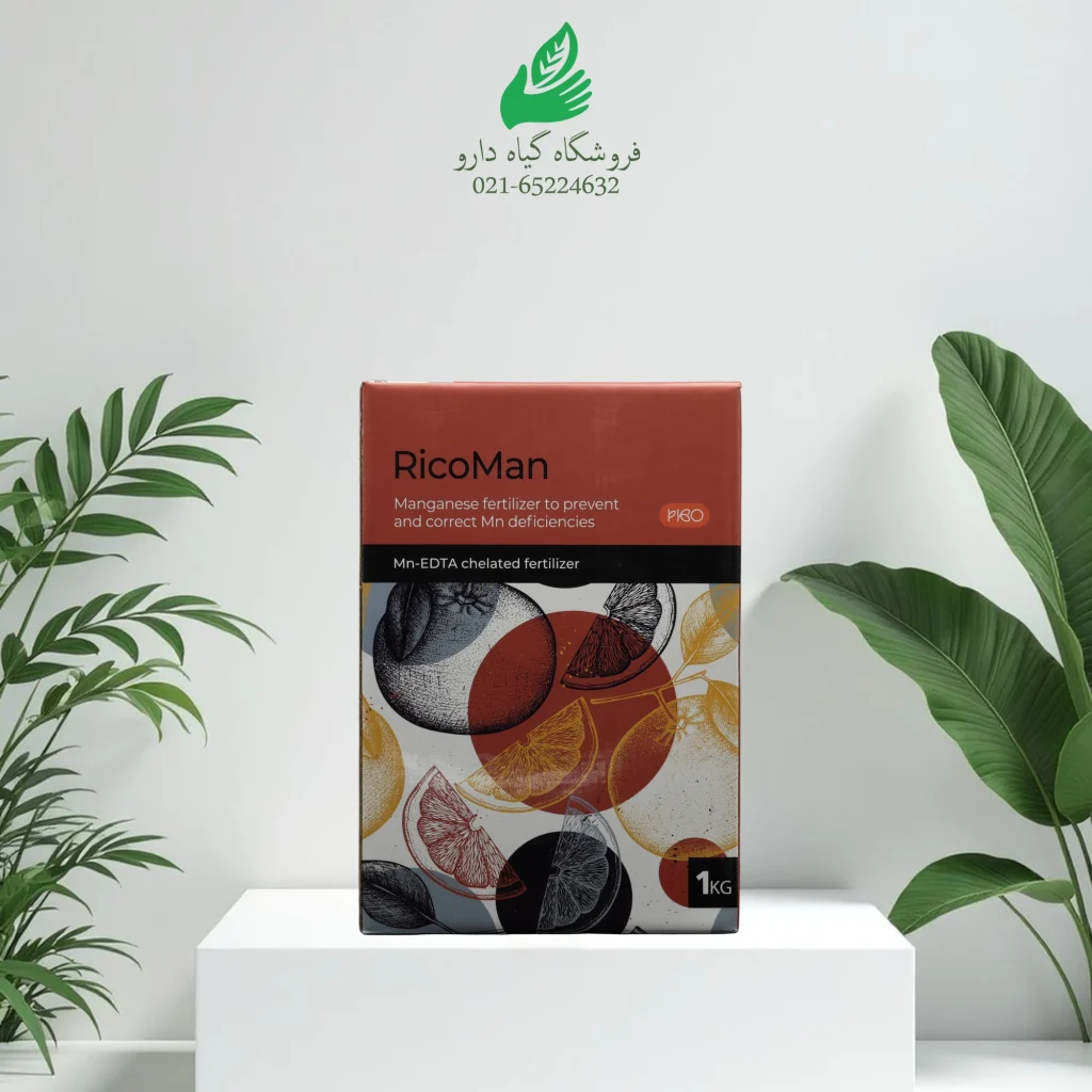 کلات منگنز ریکومان اسپانیایی یک کیلوگرمی