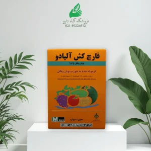 آلیادو ماسو اسپانیا یک کیلوگرمی