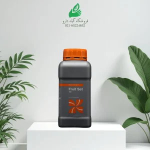 فروت ست بازارگان کالا یک لیتری